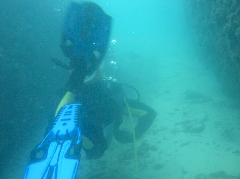 wreckdive.jpg